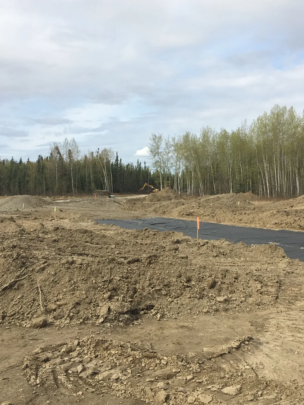 Graded dirt area bordered by trees